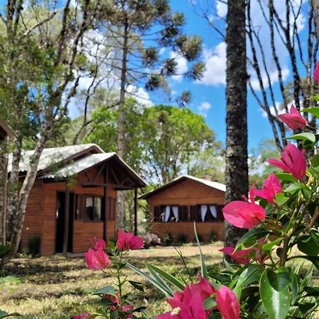 Cabanas Dos Pinheiros São Francisco de Paula Exterior photo