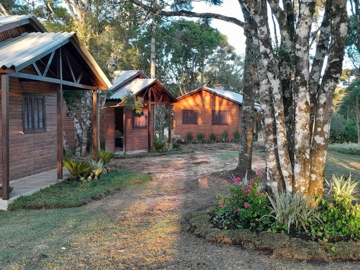 Cabanas Dos Pinheiros São Francisco de Paula Exterior photo