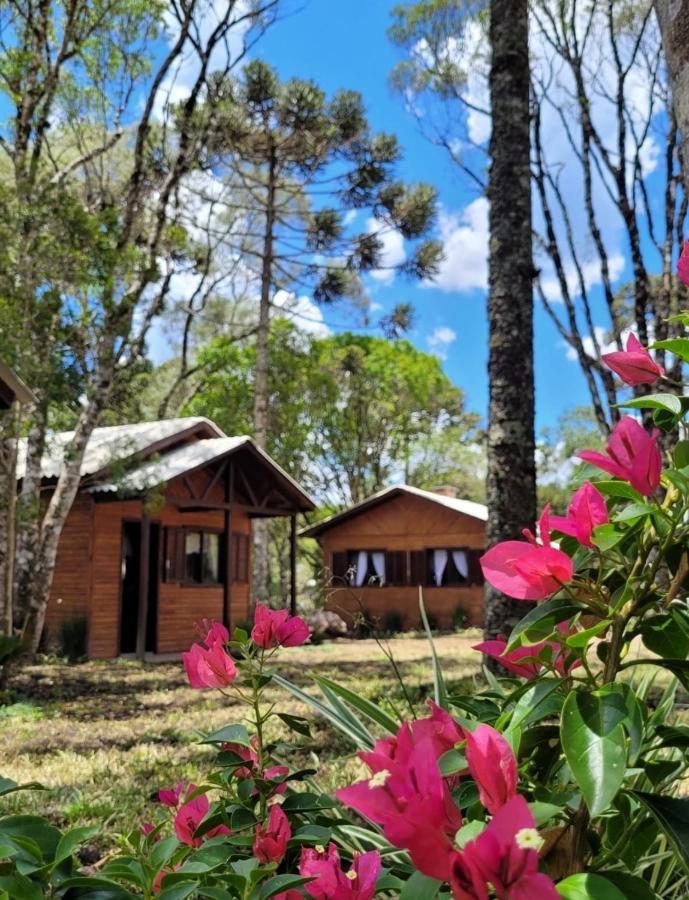 Cabanas Dos Pinheiros São Francisco de Paula Exterior photo