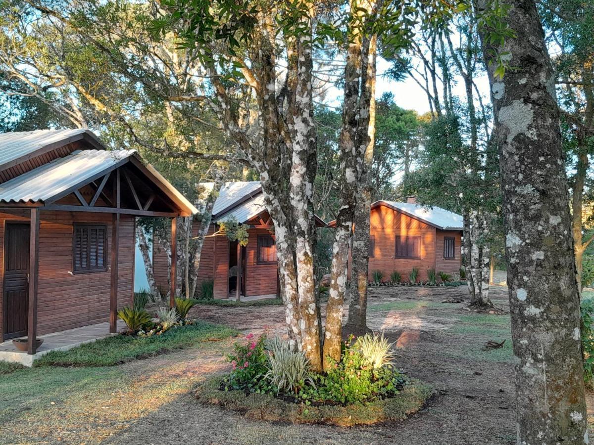 Cabanas Dos Pinheiros São Francisco de Paula Exterior photo