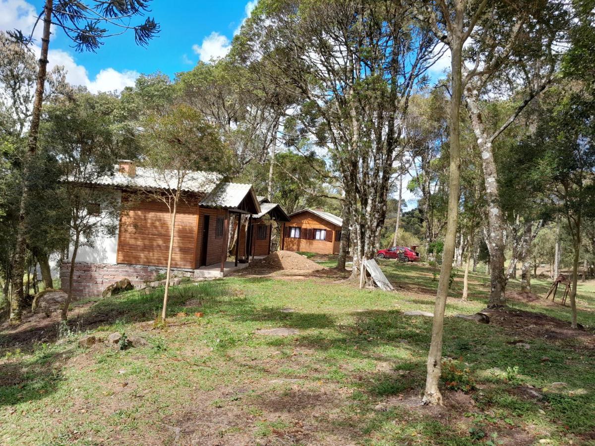 Cabanas Dos Pinheiros São Francisco de Paula Exterior photo