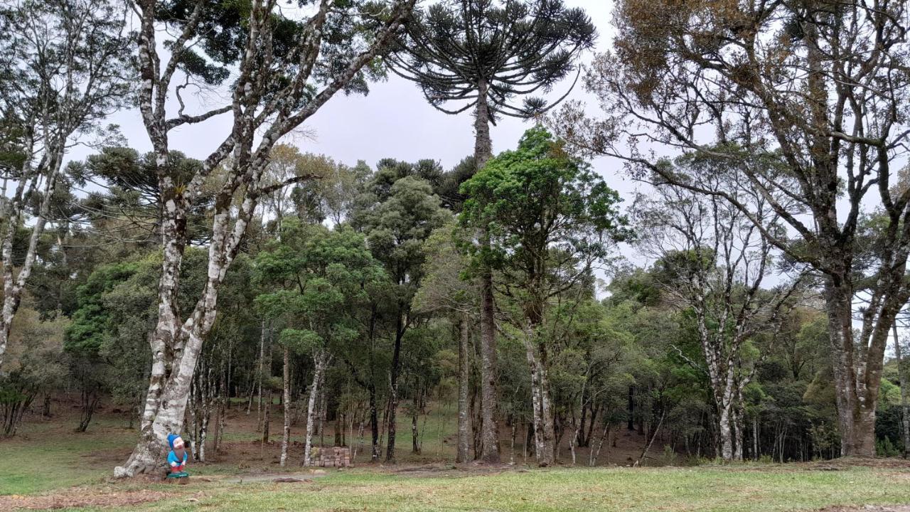 Cabanas Dos Pinheiros São Francisco de Paula Exterior photo
