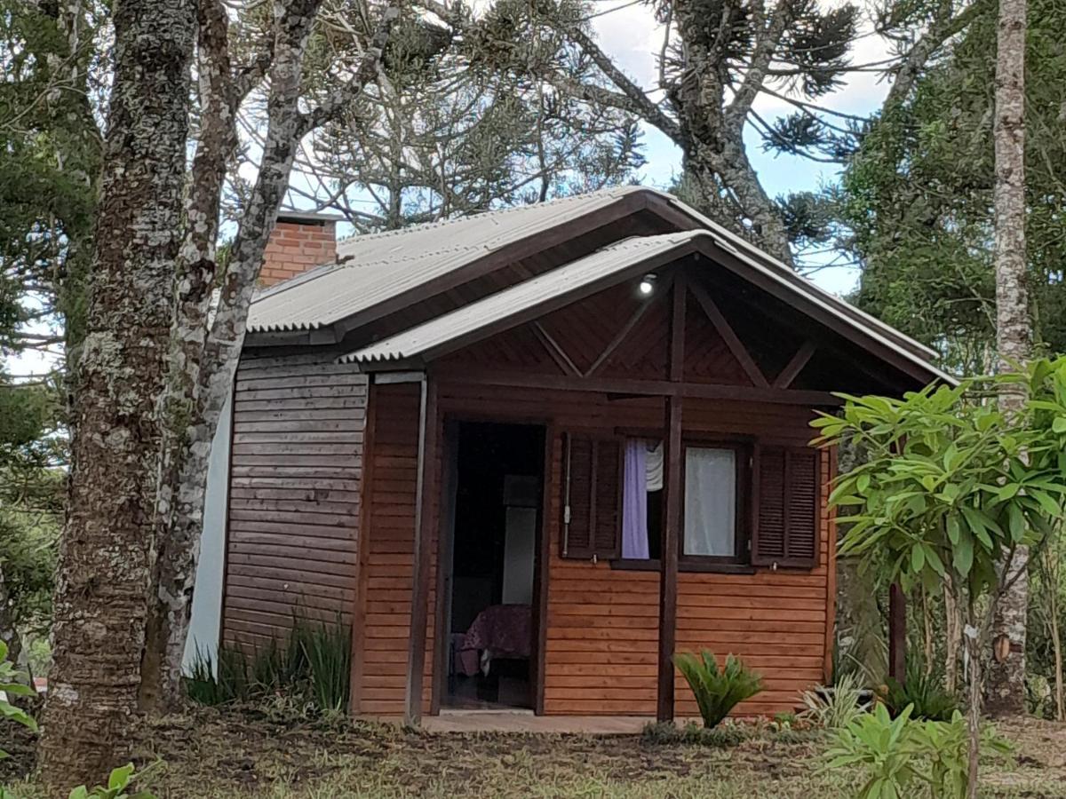Cabanas Dos Pinheiros São Francisco de Paula Exterior photo