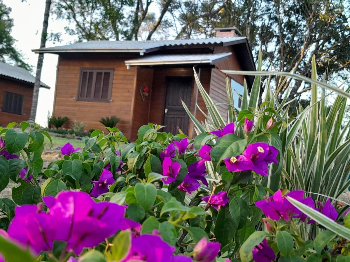Cabanas Dos Pinheiros São Francisco de Paula Exterior photo