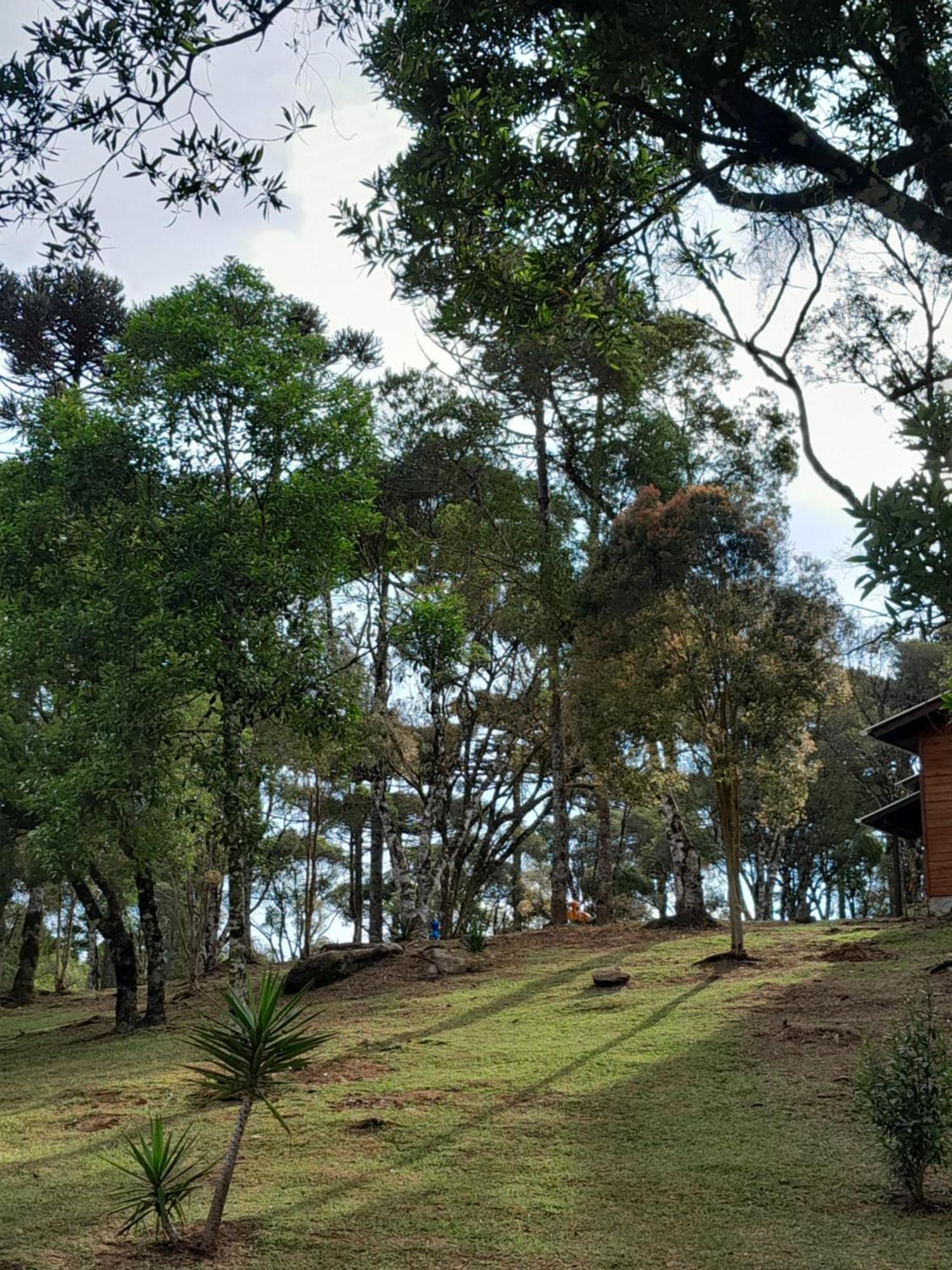 Cabanas Dos Pinheiros São Francisco de Paula Room photo