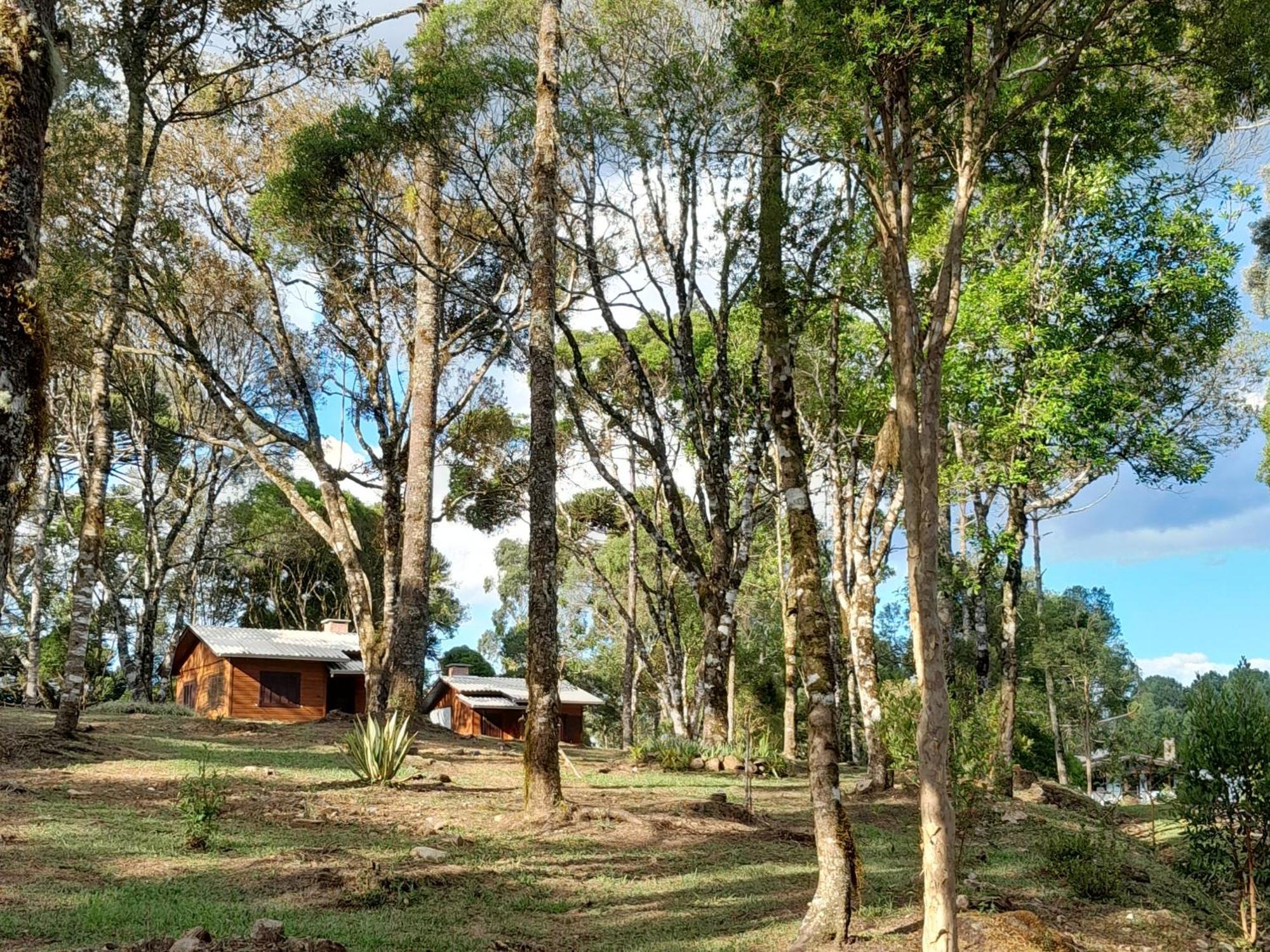 Cabanas Dos Pinheiros São Francisco de Paula Room photo