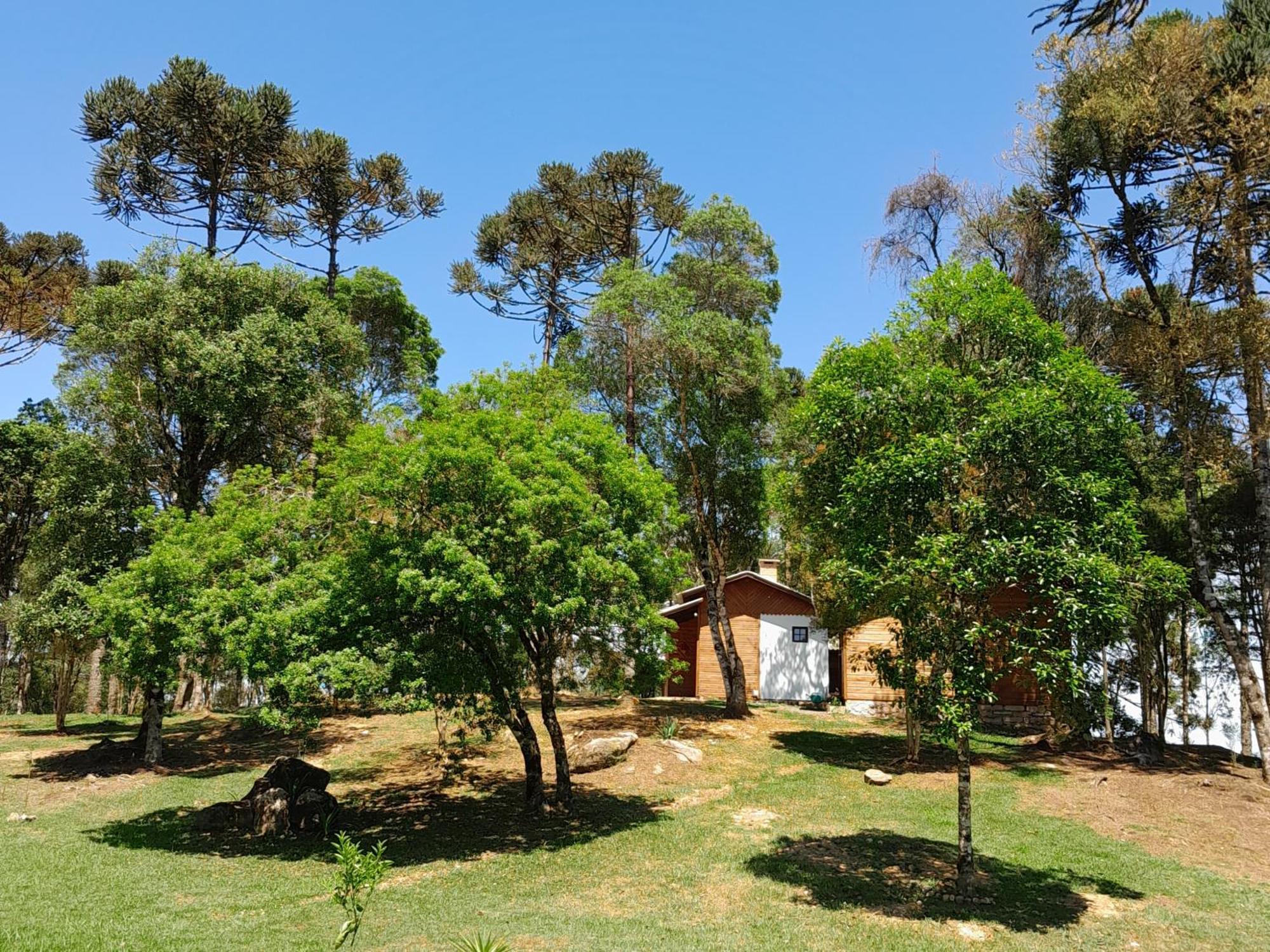 Cabanas Dos Pinheiros São Francisco de Paula Room photo