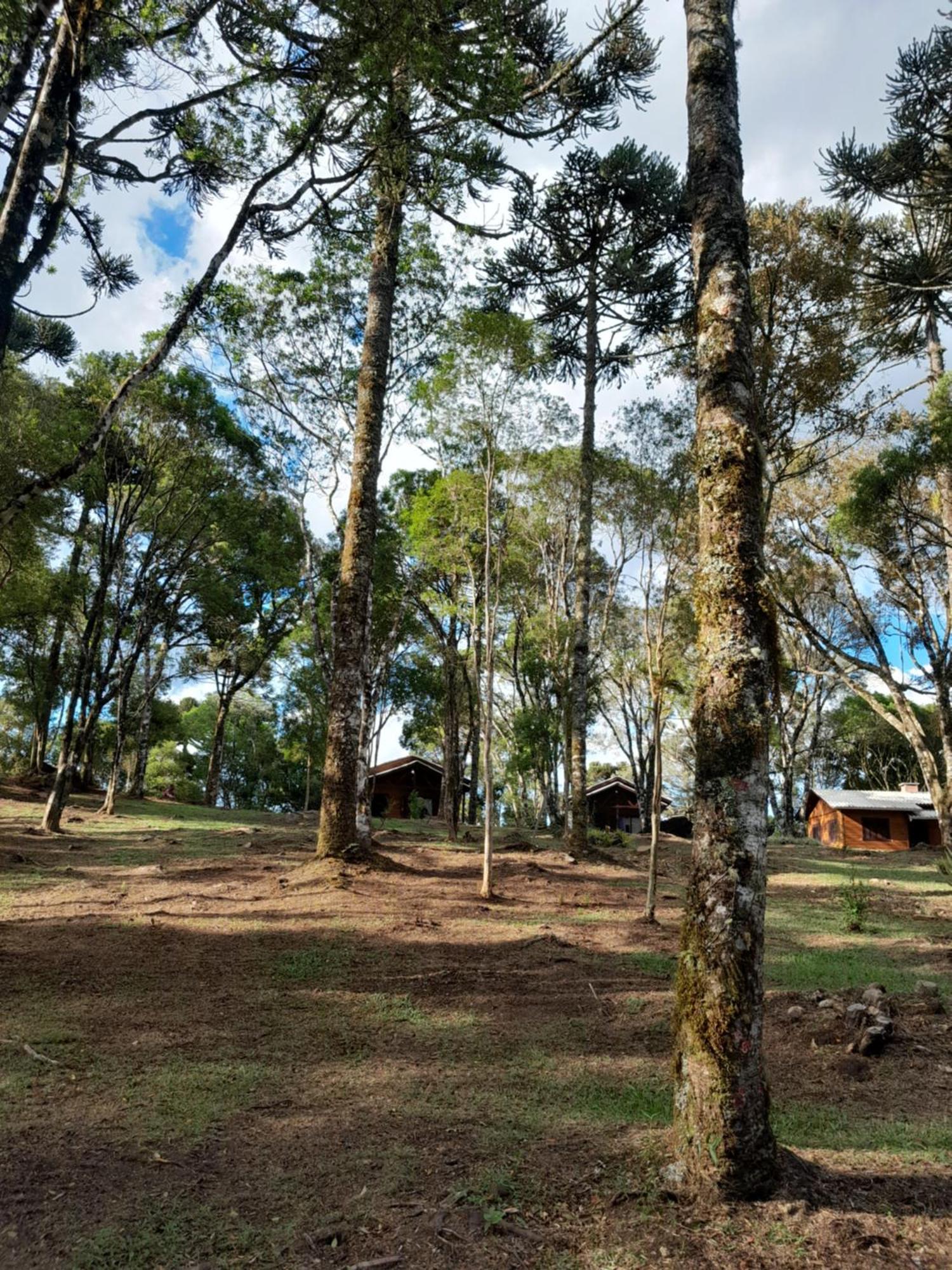 Cabanas Dos Pinheiros São Francisco de Paula Room photo