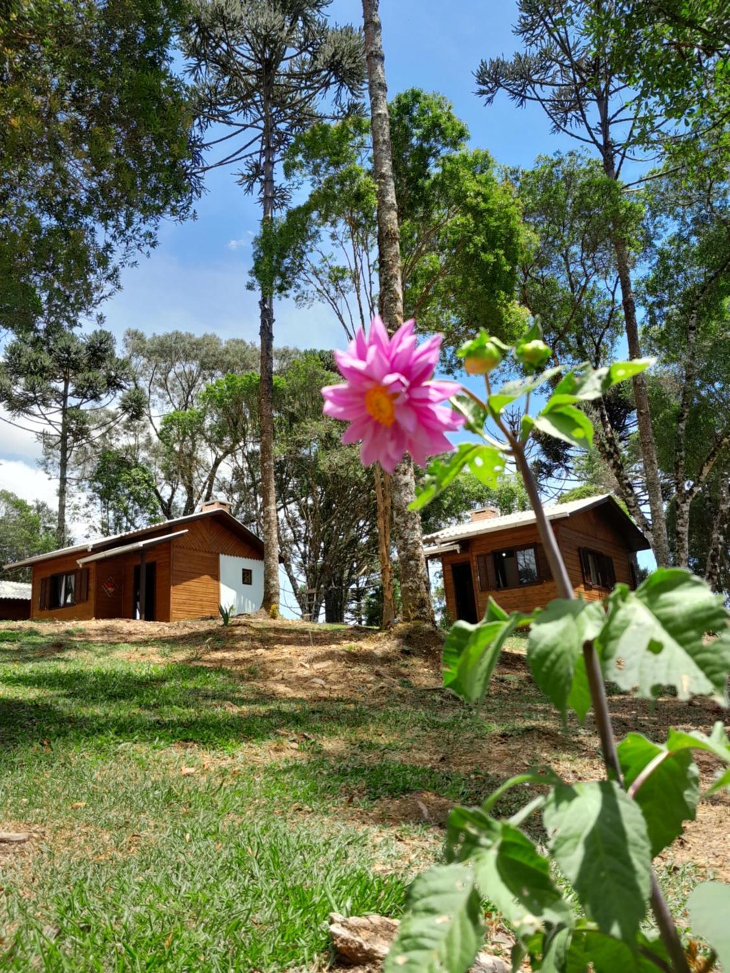 Cabanas Dos Pinheiros São Francisco de Paula Room photo